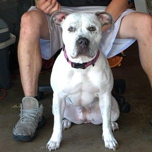 Meet your Posher, Jason